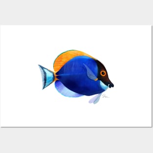 Powdered Blue Tang Posters and Art